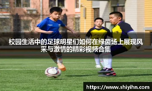 策若太轻无